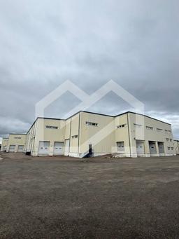 WhatsApp Image 2025-05-07 at 20.59.45.jpeg