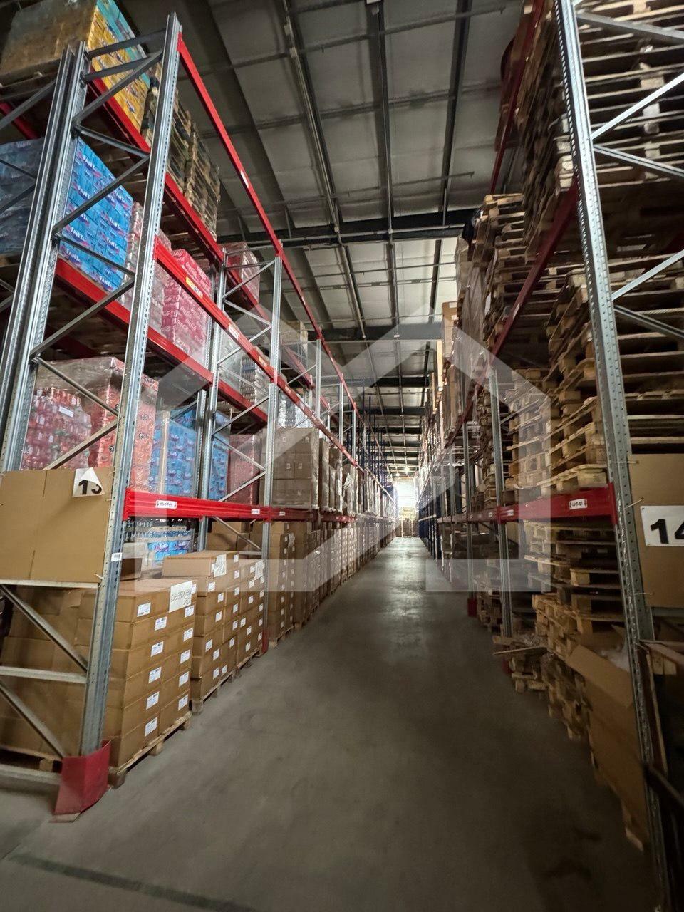 WhatsApp Image 2025-05-07 at 20.59.45 (2).jpeg