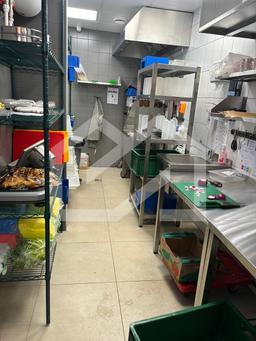 WhatsApp Image 2025-10-20 at 17.10.58.jpeg