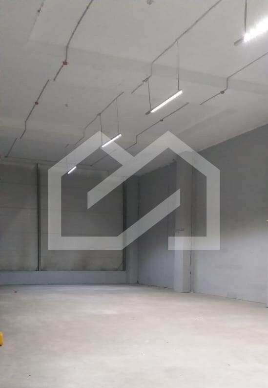 WhatsApp Image 2019-07-12 at 13.49.18 (1).jpeg