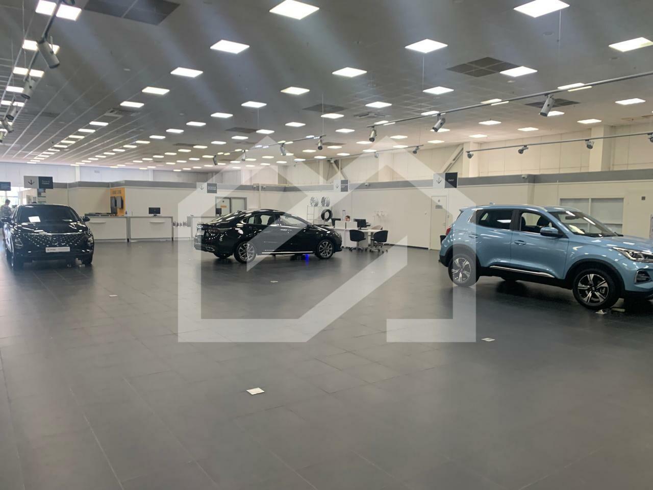 WhatsApp Image 2025-05-19 at 18.07.03.jpeg