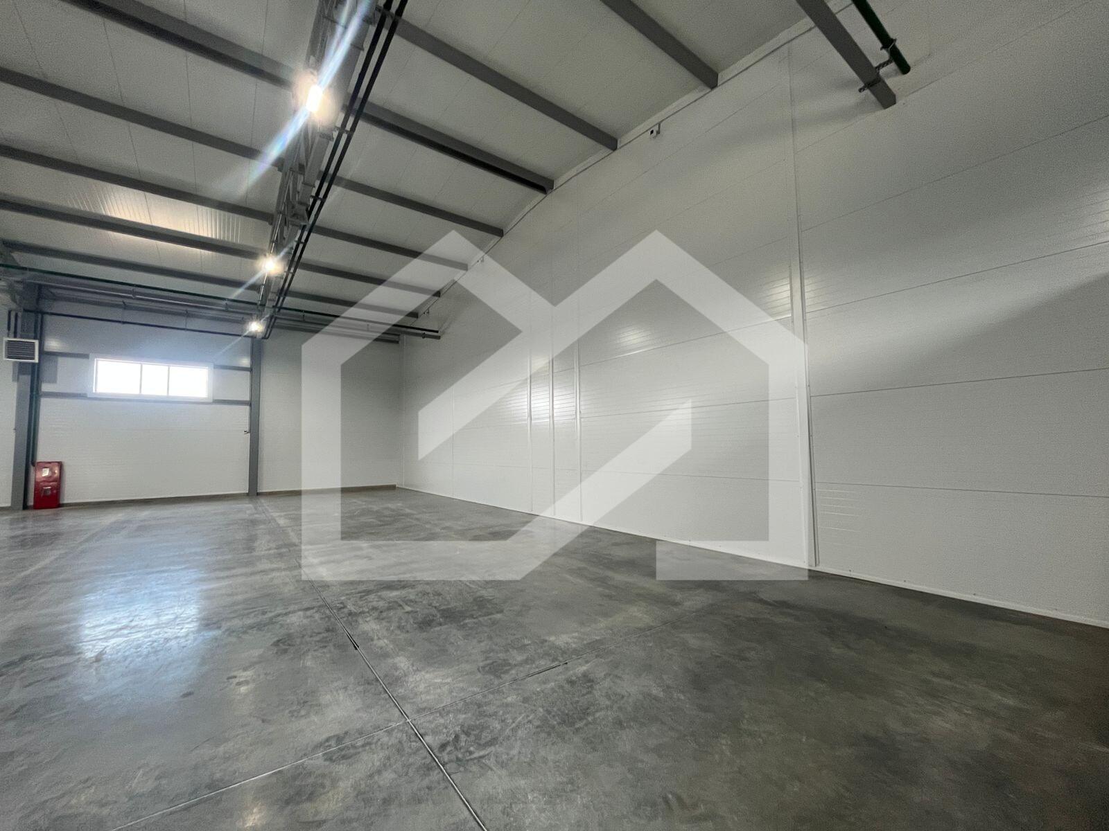 WhatsApp Image 2025-08-12 at 10.58.39 (2).jpeg