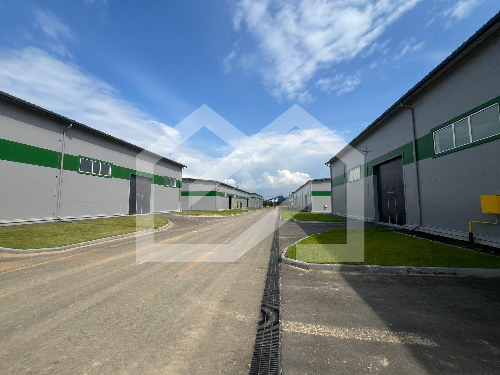 WhatsApp Image 2025-08-12 at 10.58.38 (1).jpeg