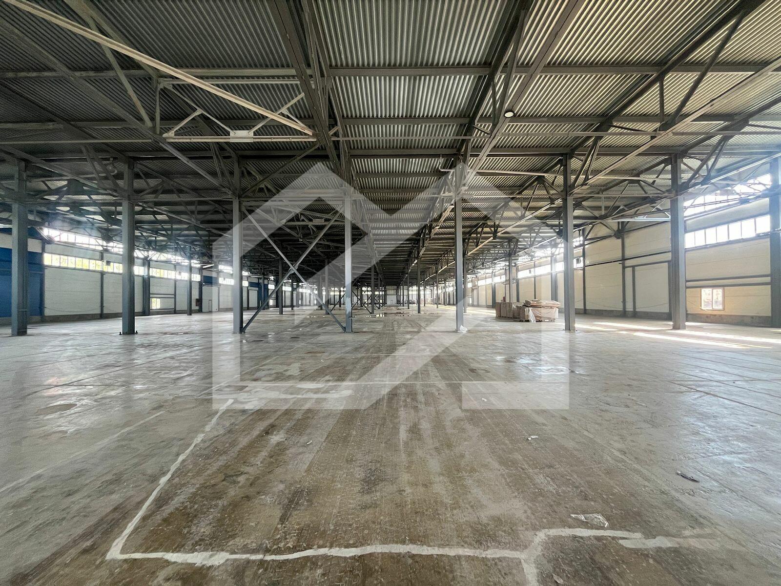 WhatsApp Image 2025-07-14 at 11.38.01.jpeg