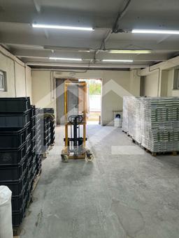 WhatsApp Image 2025-06-11 at 10.30.52.jpeg