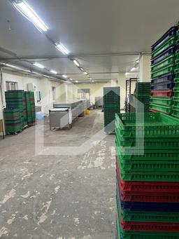 WhatsApp Image 2025-06-11 at 10.30.50.jpeg