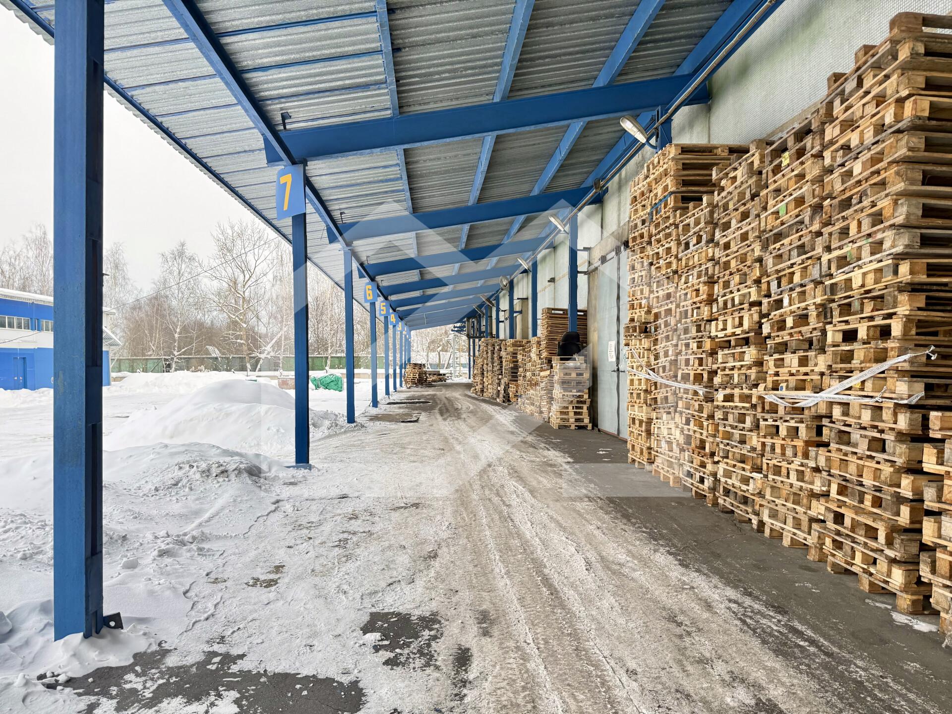 Копия IMG_8140.jpeg