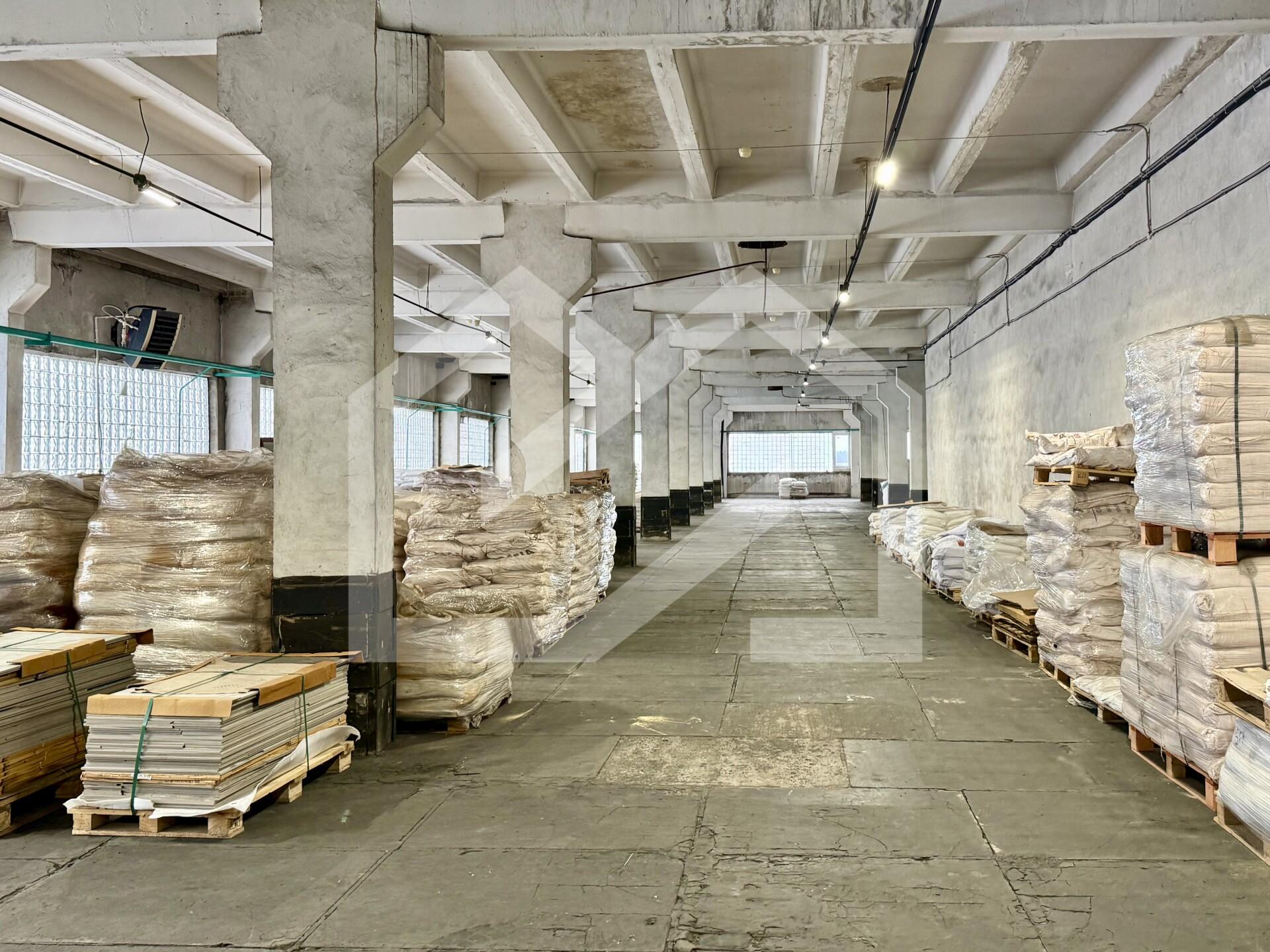 Копия IMG_8144.jpeg