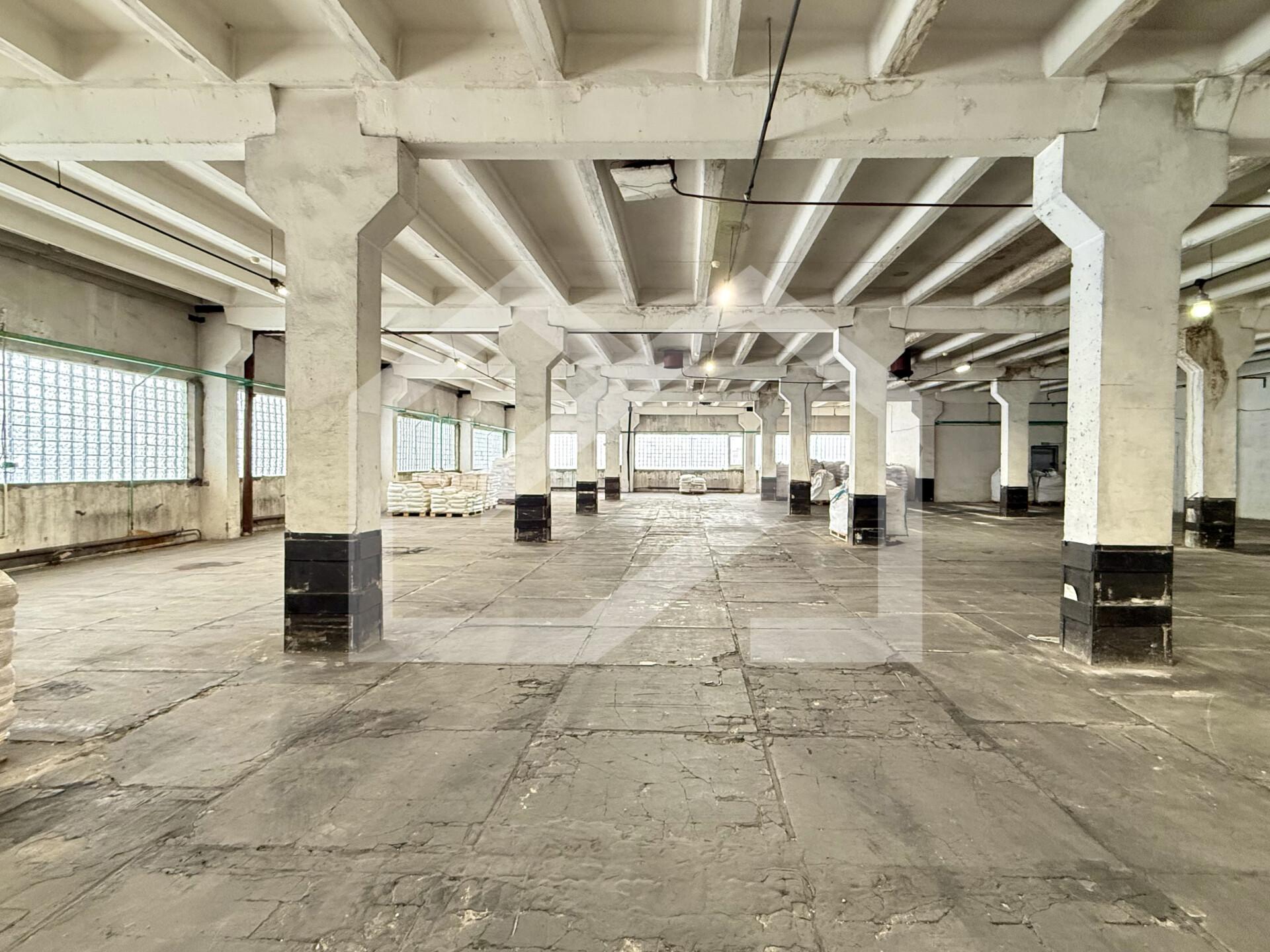 Копия IMG_8152.jpeg