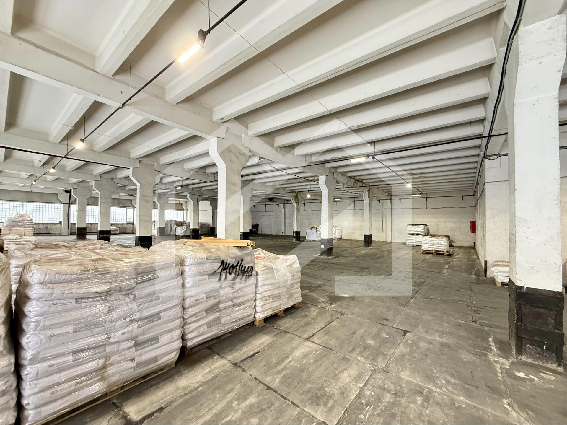 Копия IMG_8147.jpeg