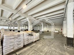 Копия IMG_8147.jpeg