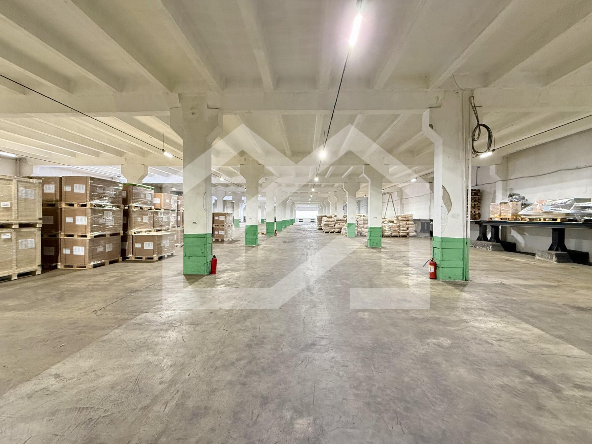 Копия IMG_8161.jpeg