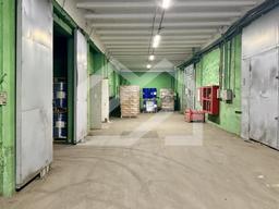 Копия IMG_8142.jpeg