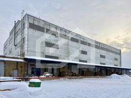 Копия IMG_8191.jpeg