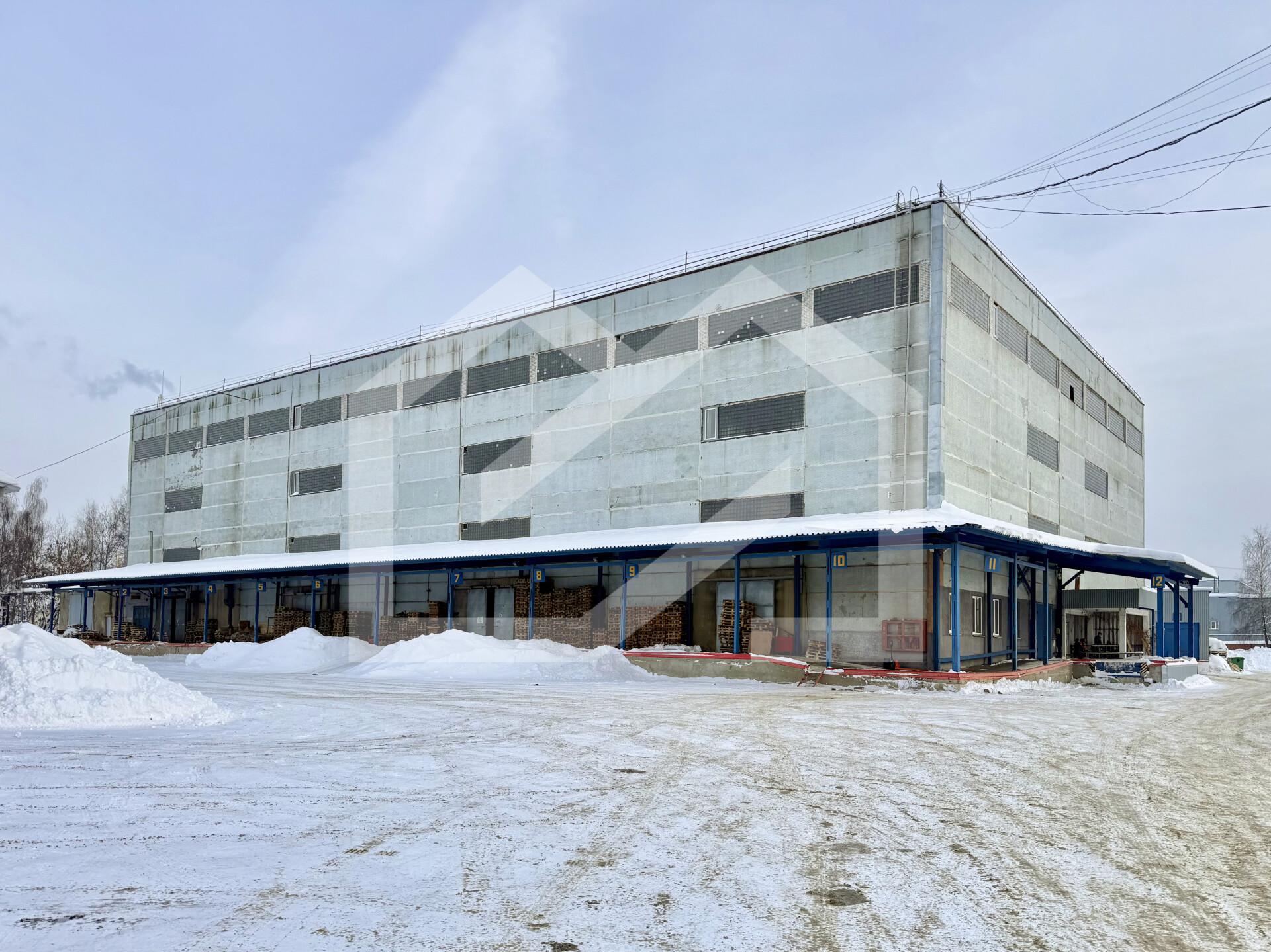 Копия IMG_8178.jpeg