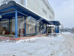 Копия IMG_8172.jpeg