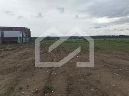 WhatsApp Image 2025-06-25 at 17.49.28.jpeg