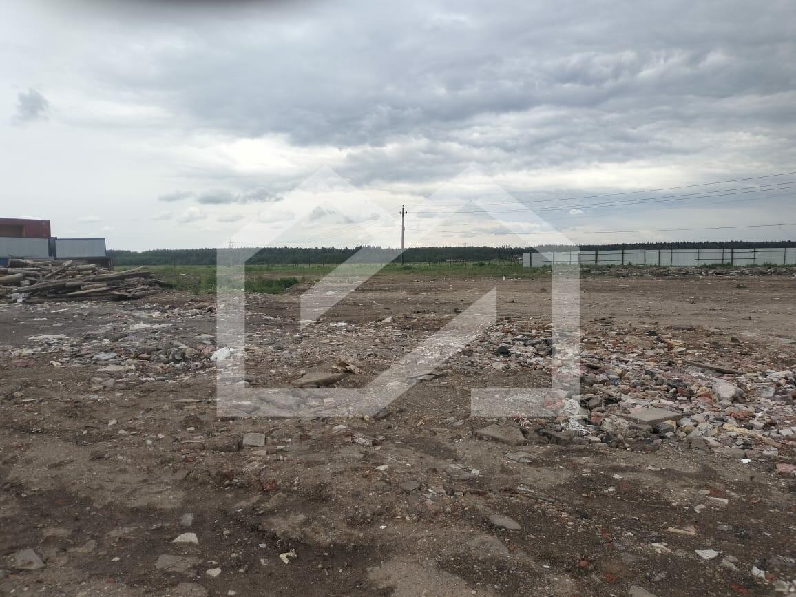 WhatsApp Image 2025-06-25 at 17.49.26.jpeg