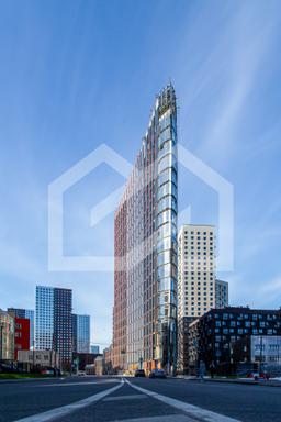 Копия IMG_8235.jpg