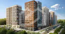 pixelcut-export (4).png