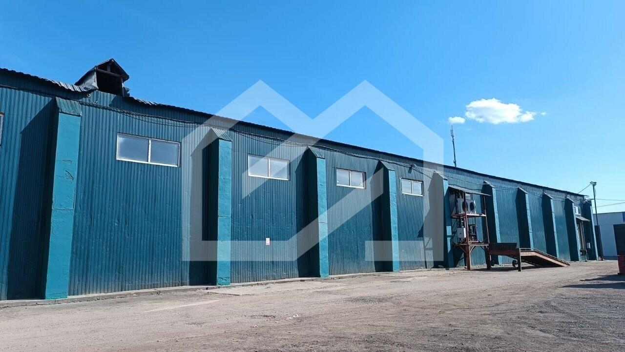 IMAGE 2025-07-02 15:11:41.jpg