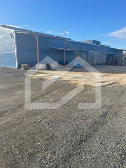 WhatsApp Image 2025-06-26 at 12.03.43.jpeg