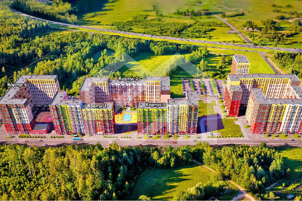 Цветочные Поляны-275.jpg