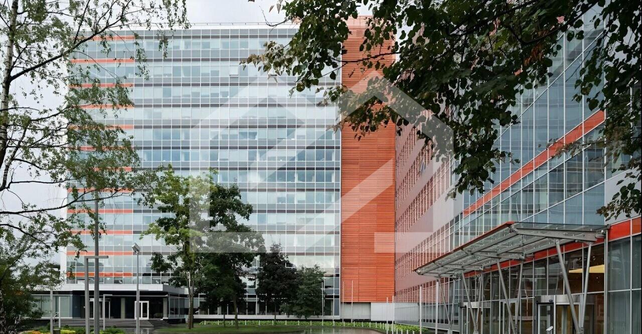 Без имени-2.jpg