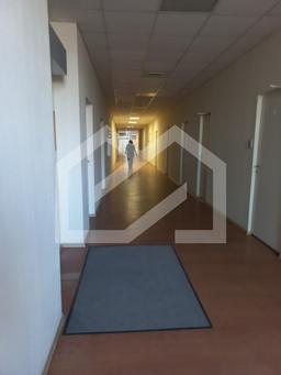 arenda_62772(1).jfif