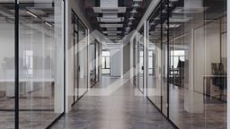 WhatsApp Image 2025-08-08 at 12.26.55.jpeg