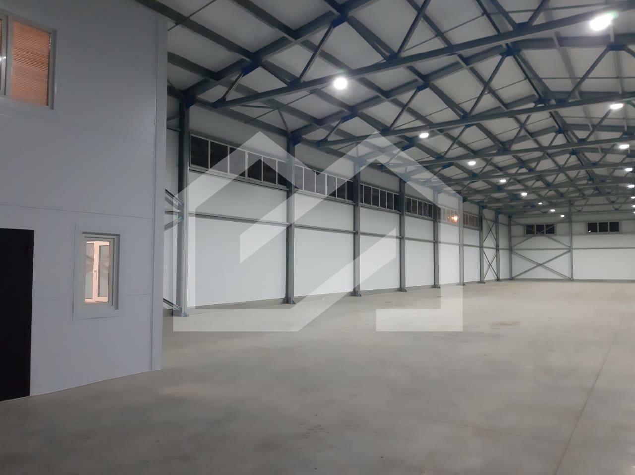 WhatsApp Image 2025-07-14 at 20.24.41.jpeg