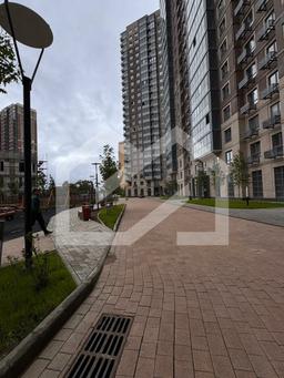 Изображение WhatsApp 2025-07-02 в 14.19.17_3b3f9971.jpg