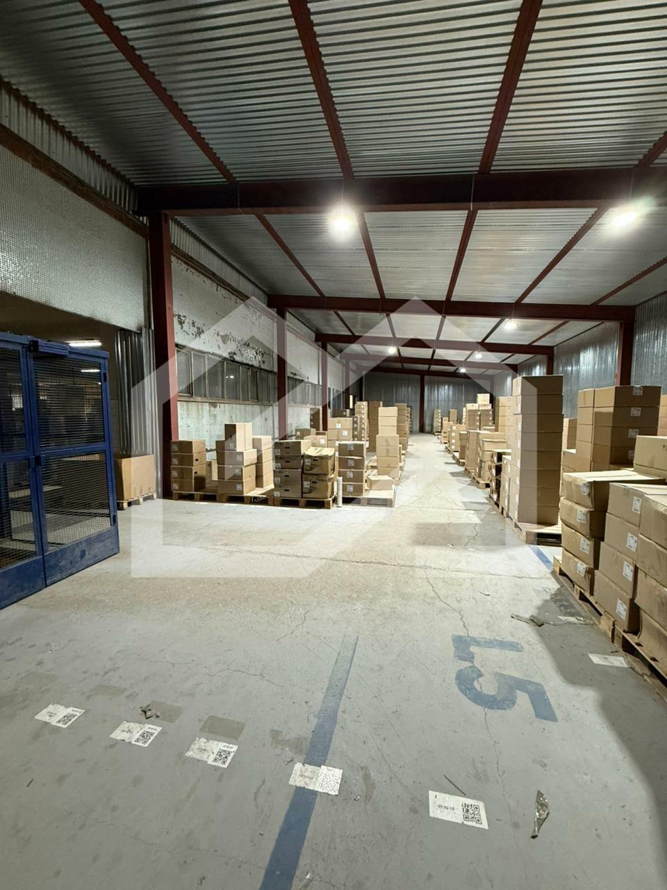 WhatsApp Image 2025-07-03 at 17.26.47.jpeg