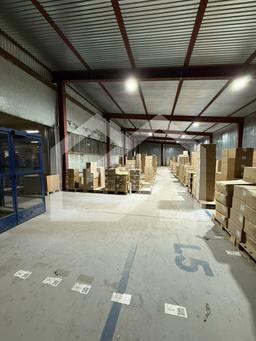 WhatsApp Image 2025-07-03 at 17.26.47.jpeg