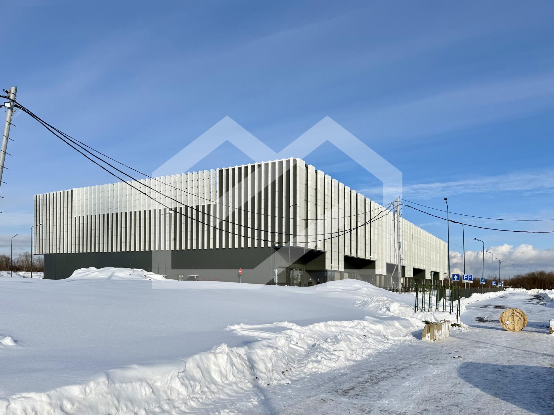 Копия IMG_8563.jpeg