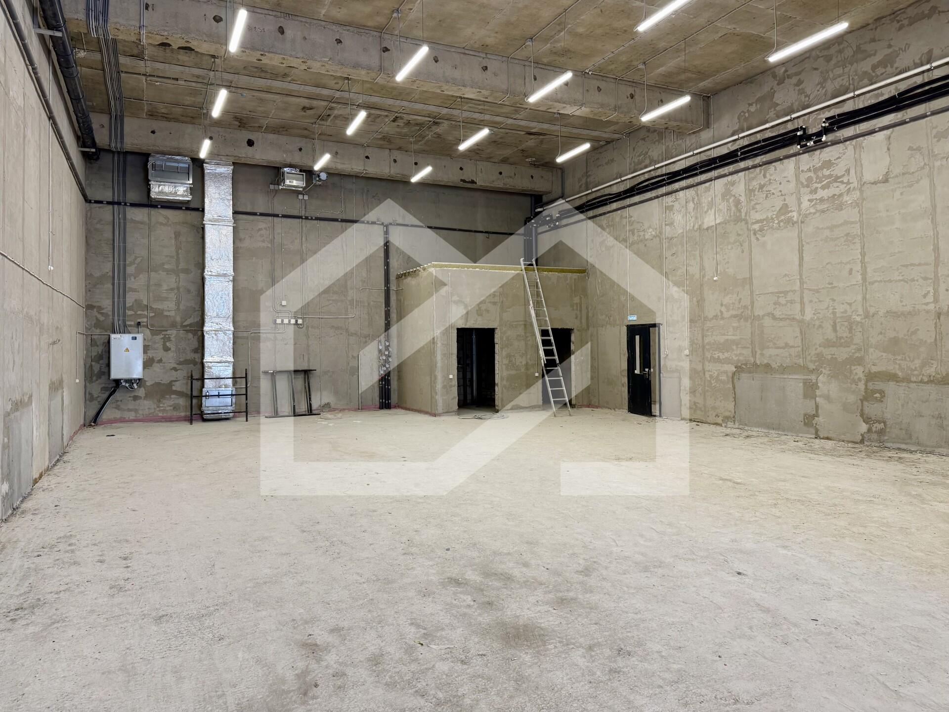 Копия IMG_8582.jpeg