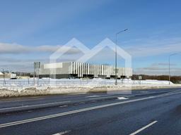 Копия IMG_8610.jpeg