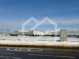 Копия IMG_8605.jpeg