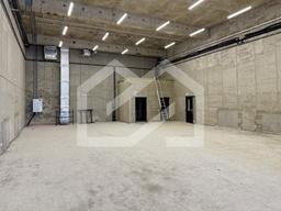 Копия IMG_8582.jpeg