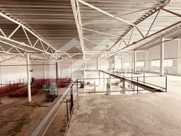 WhatsApp Image 2025-07-28 at 17.17.24 (2).jpeg