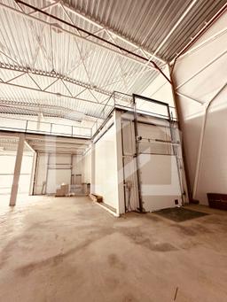 WhatsApp Image 2025-07-28 at 17.17.25.jpeg