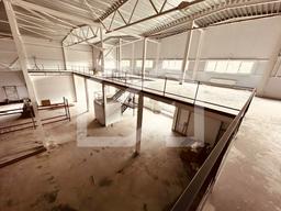 WhatsApp Image 2025-07-28 at 17.17.24.jpeg