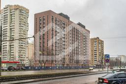 Копия DSC01850-DxO_DeepPRIME XD2s.jpeg