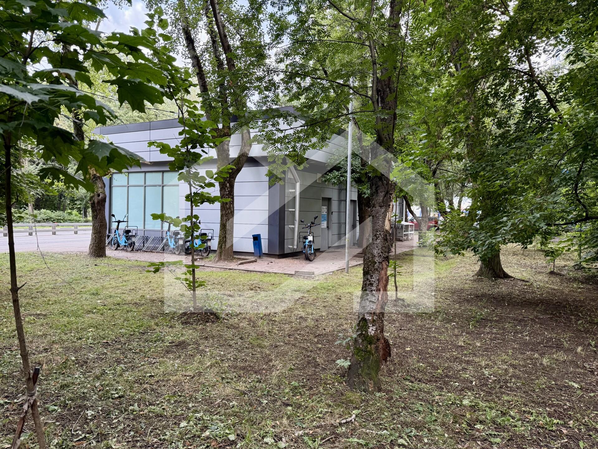 Копия IMG_7534.jpg