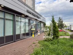 Копия IMG_7518.jpg