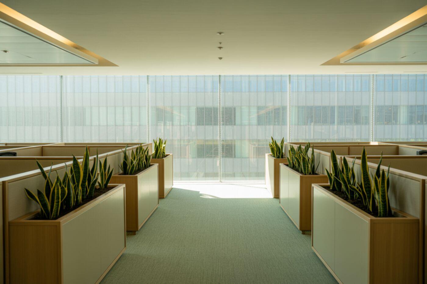Зачем бизнесу «зеленый офис» и как его организовать?